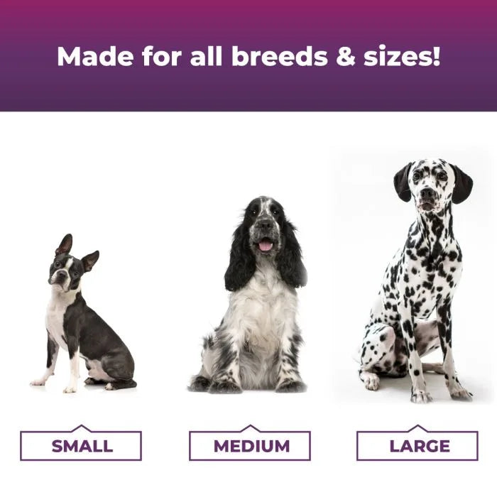 VetriScience® - Allergy Plus Immune Supplement for Dogs (60 chews)