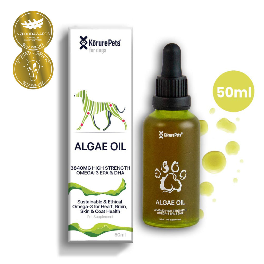 Kōrure Pets Algae Oil (Brain, Heart and Coat Health) - 50ml