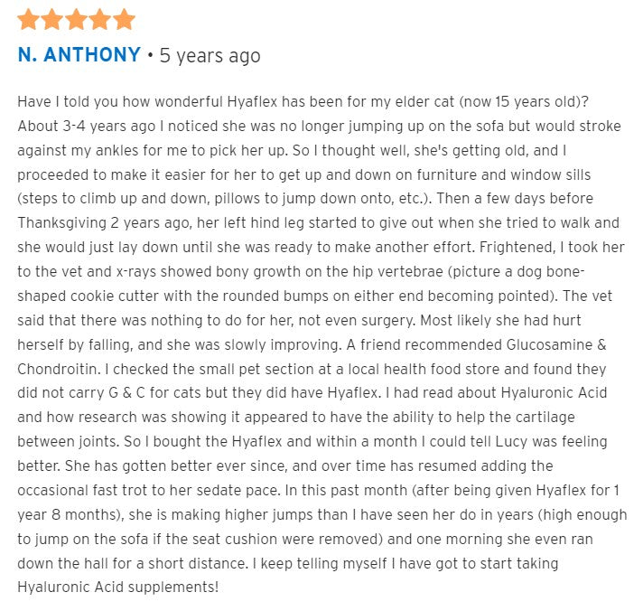 Hyalogic HyaFlex for Cats - Feline Hip and Joint Formula (30 ml)