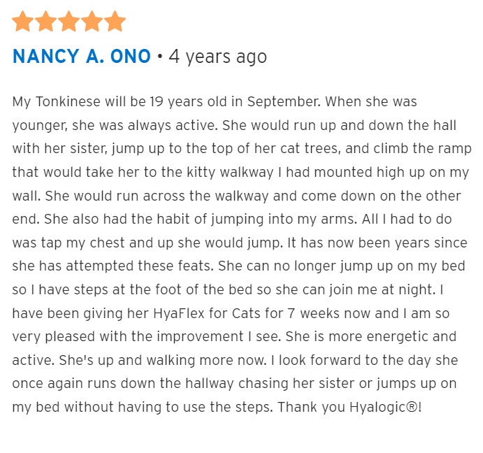 Hyalogic HyaFlex for Cats - Feline Hip and Joint Formula (30 ml)