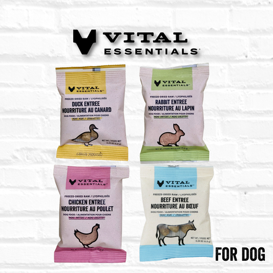 Vital Essentials Dog Food Samples