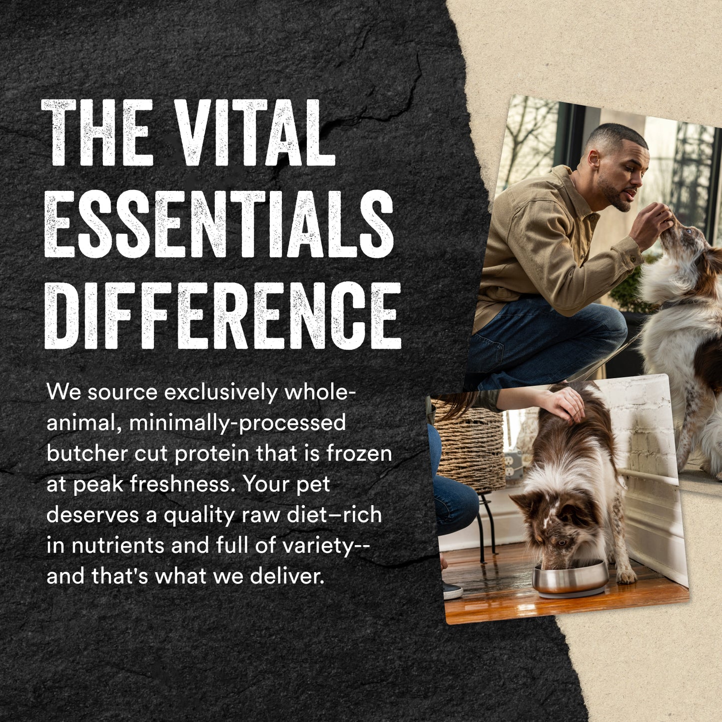 Vital Essentials® Freeze-Dried Raw Salmon Bites Dog Treats, 2.5 oz