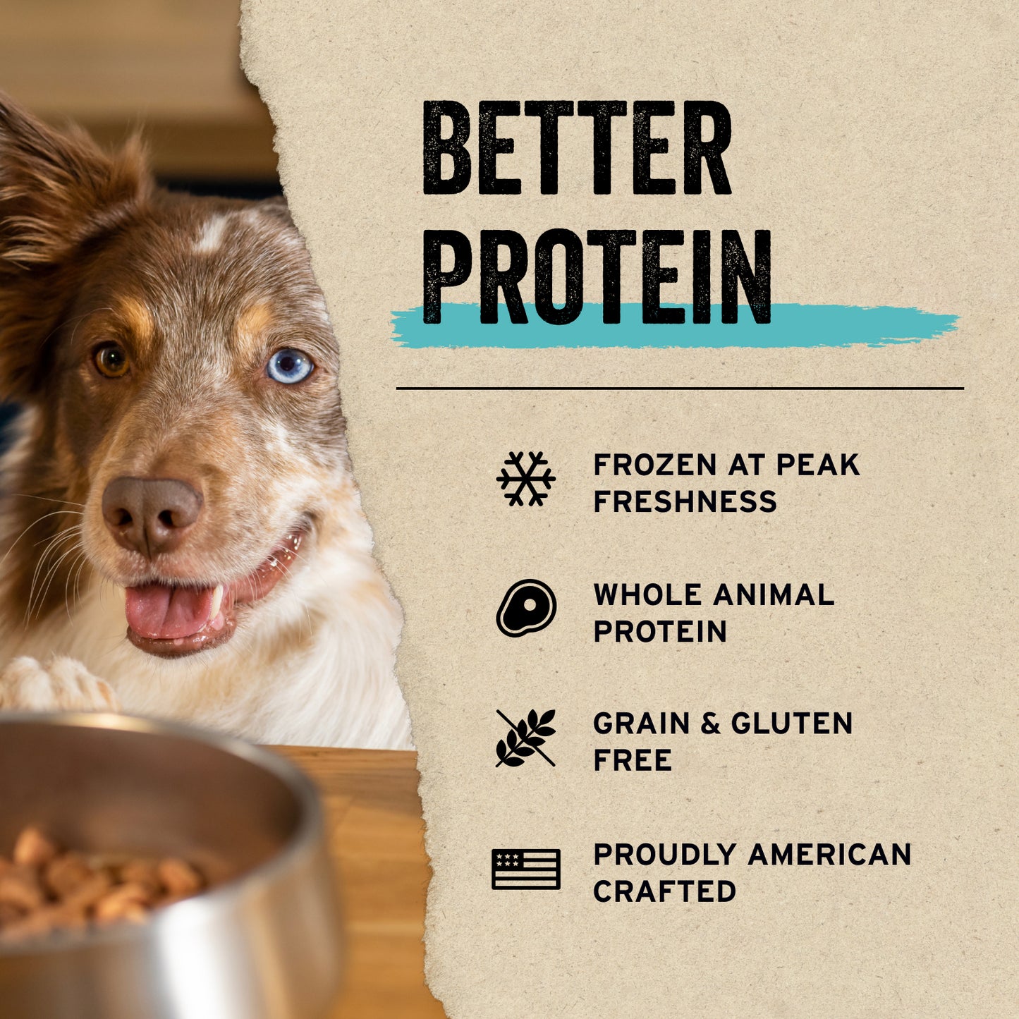 Vital Essentials® Freeze-Dried Raw Salmon Bites Dog Treats, 2.5 oz