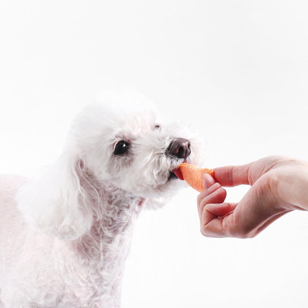 Arlo Kitchen - Fruit Chips 30g (Mango Banana Apple)