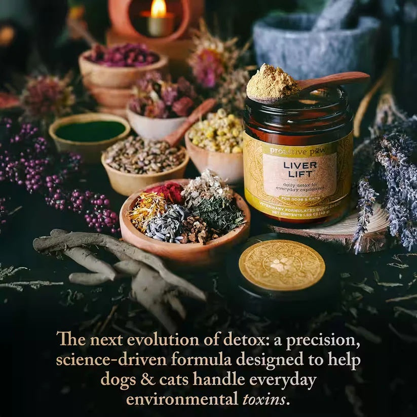 Proactive Paws - Proactive Paws - Liver Lift 45g