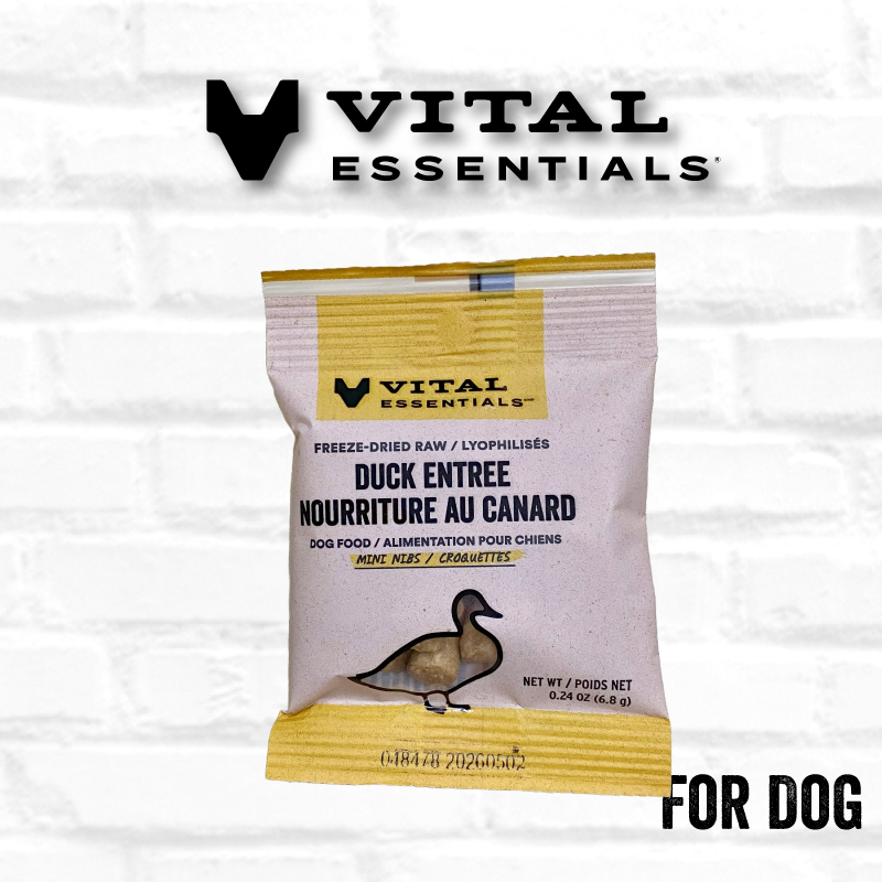 Vital Essentials Dog Food Samples