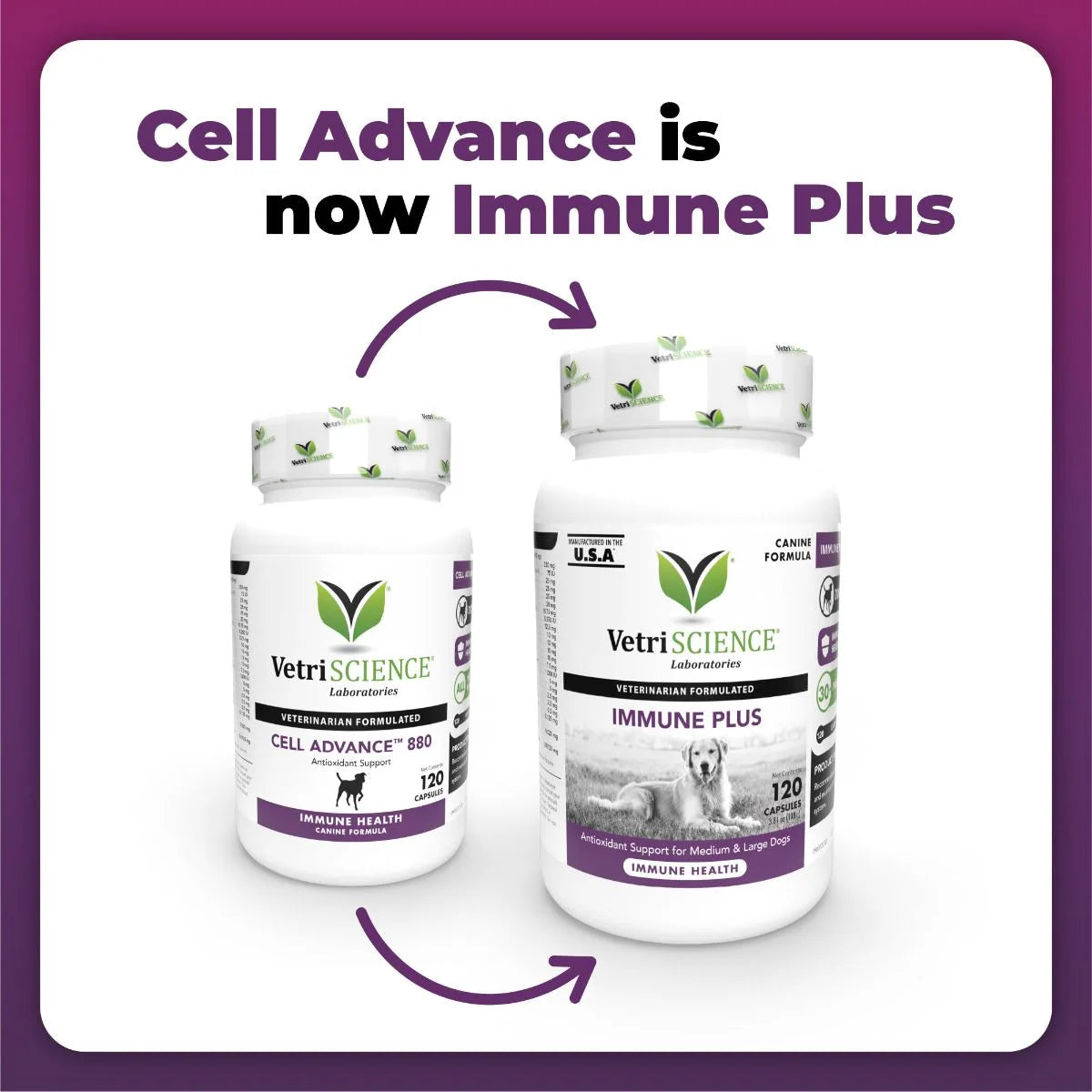 VetriScience® - Cell Advance™ 880/ Immune Plus - Immunity Support for Dogs (120 capsules)
