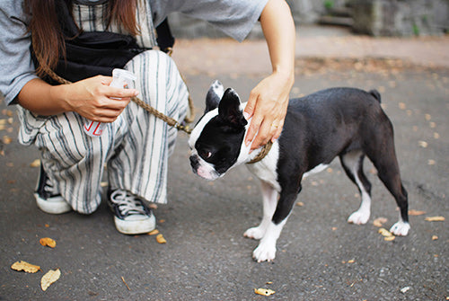 Wafona Outdoor Body Care (120ml Spray / 300ml Refill)