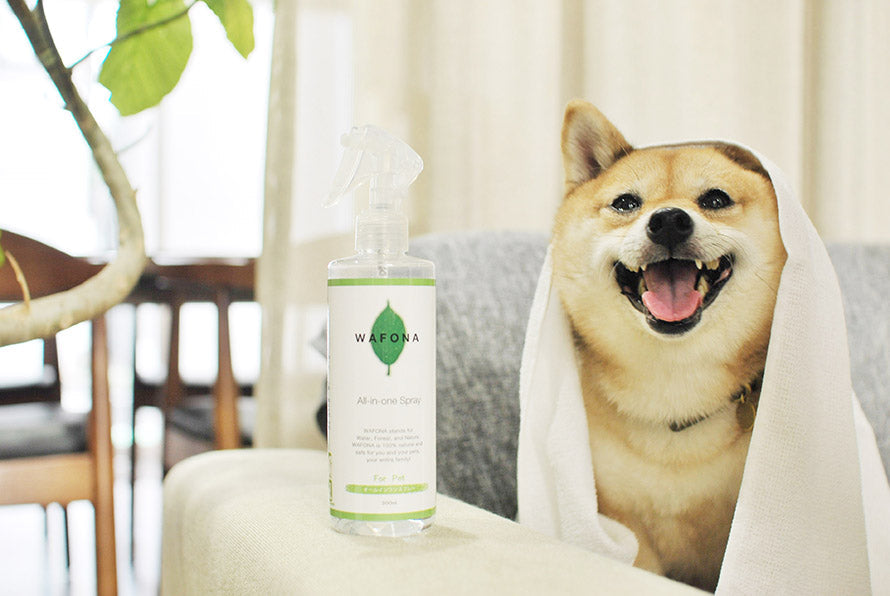 Wafona All-in-One Spray - cleans, moisturizes and sterilize with the power of 108 types of natural plant extracts and pure ionized water