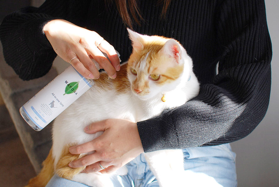 Wafona All-in-One Spray for Cats - cleans, moisturizes and sterilize with the power of 108 types of natural plant extracts, 52 types of plant enzymes and pure ionized water