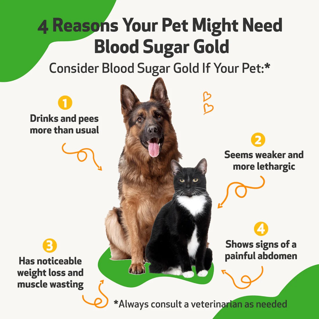 Pet Wellbeing - Blood Sugar Gold - for Dog Blood Sugar Support