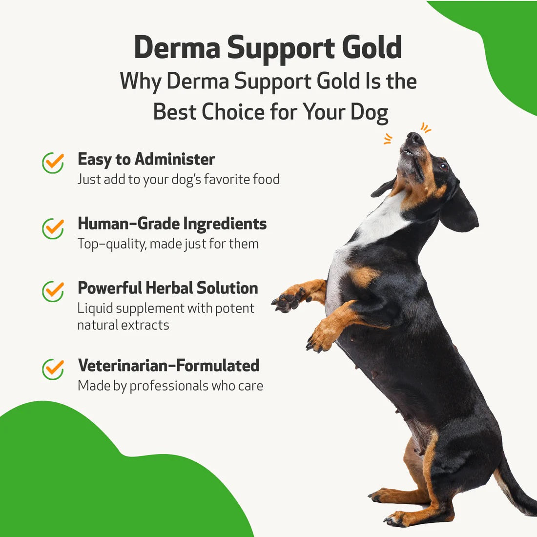 Pet Wellbeing - Derma Support Gold - for Canine Healthy Coat, Odor & Itching (2fl oz / 59ml)