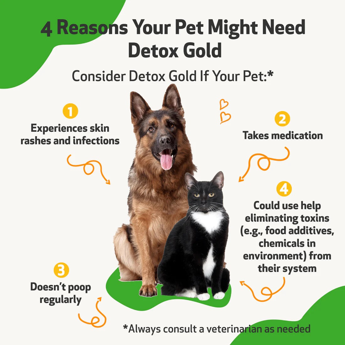 Pet Wellbeing - Detox Gold for Dogs - Gentle Detoxification & Elimination (2fl oz / 59ml)