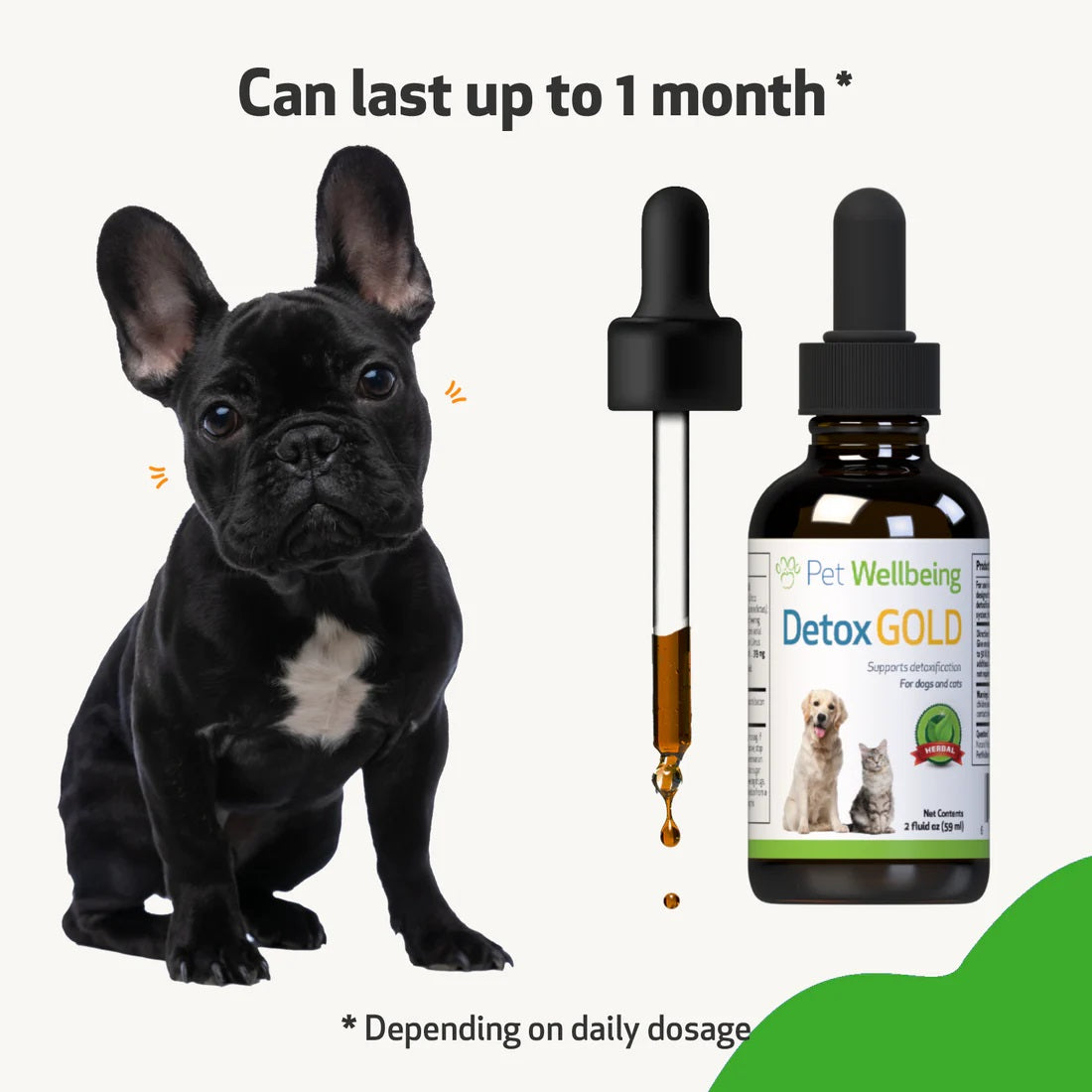 Pet Wellbeing - Detox Gold for Dogs - Gentle Detoxification & Elimination (2fl oz / 59ml)