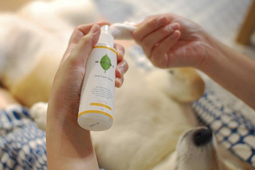 Wafona Oral care spray - for dogs and cats