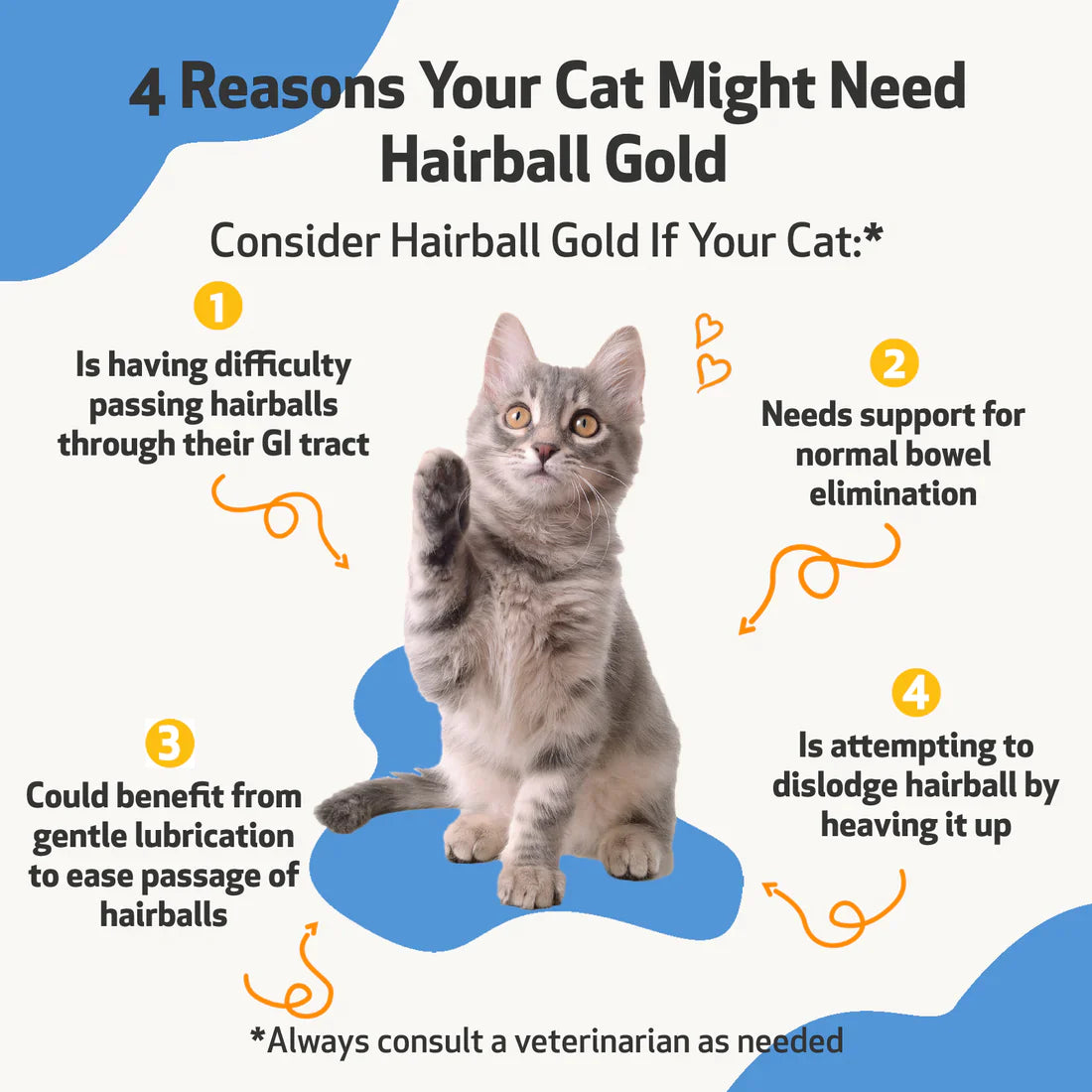 Pet Wellbeing - Hairball Gold - Natural Help for Hairballs (2fl oz / 59ml)