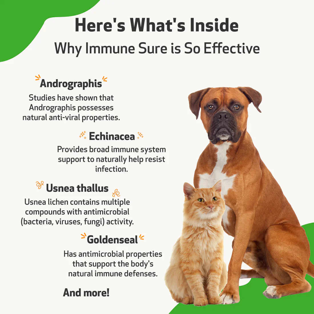 Pet Wellbeing - Immune SURE - for Feline & Canine Immune System Support
