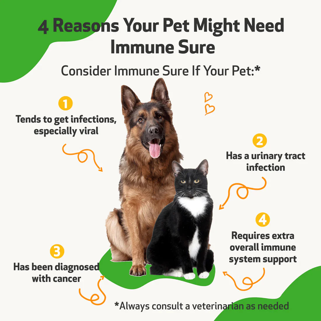 Pet Wellbeing - Immune SURE - for Feline & Canine Immune System Support