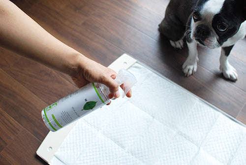 Wafona All-in-One Spray - cleans, moisturizes and sterilize with the power of 108 types of natural plant extracts and pure ionized water