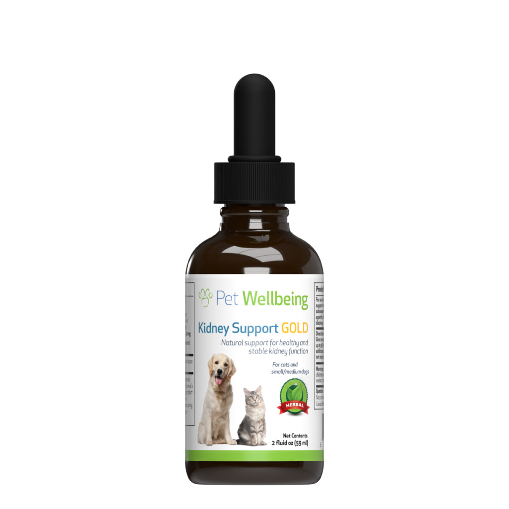 Pet Wellbeing - Kidney Support Gold - for Cats & Dogs Kidney Function