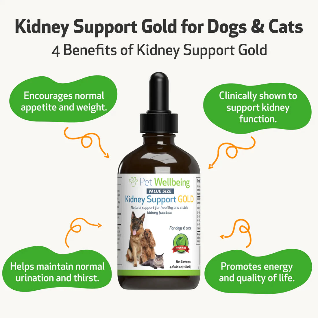 Pet Wellbeing - Kidney Support Gold - for Cats & Dogs Kidney Function
