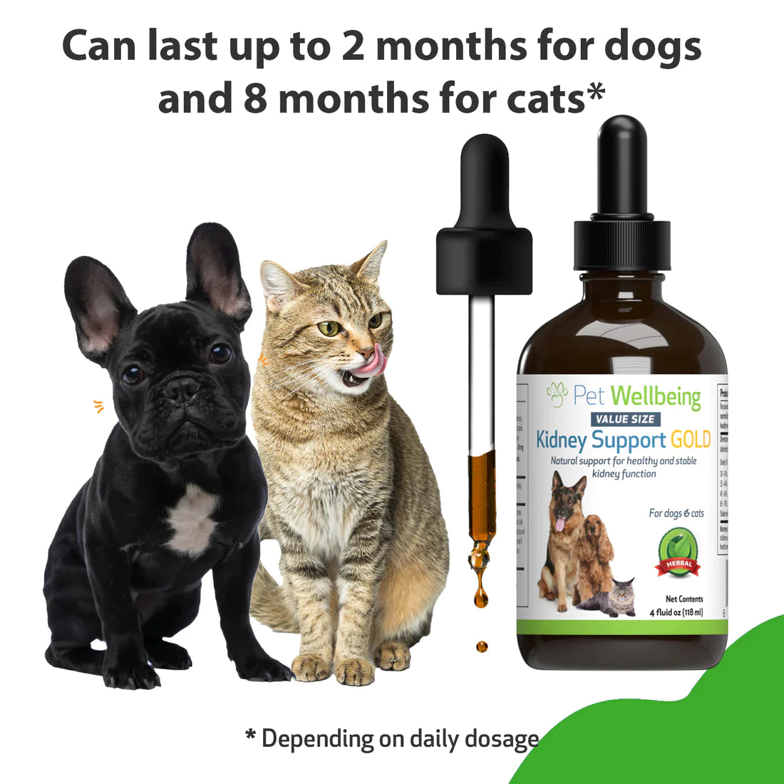 Pet Wellbeing - Kidney Support Gold - for Cats & Dogs Kidney Function