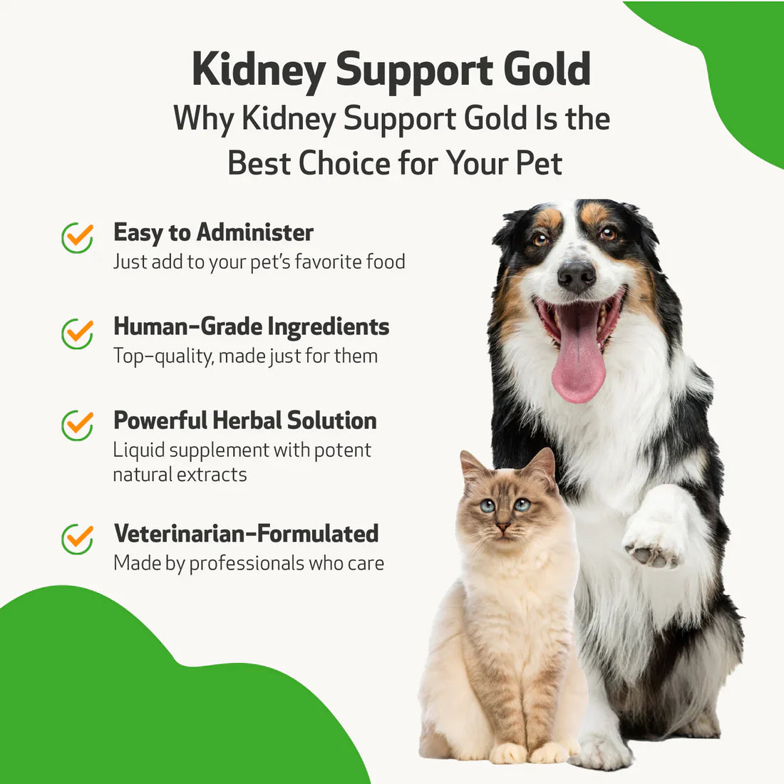 Pet Wellbeing - Kidney Support Gold - for Cats & Dogs Kidney Function