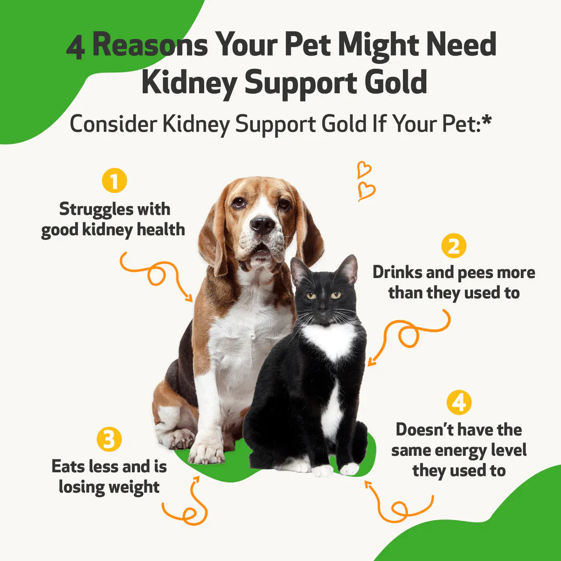 Pet Wellbeing - Kidney Support Gold - for Cats & Dogs Kidney Function