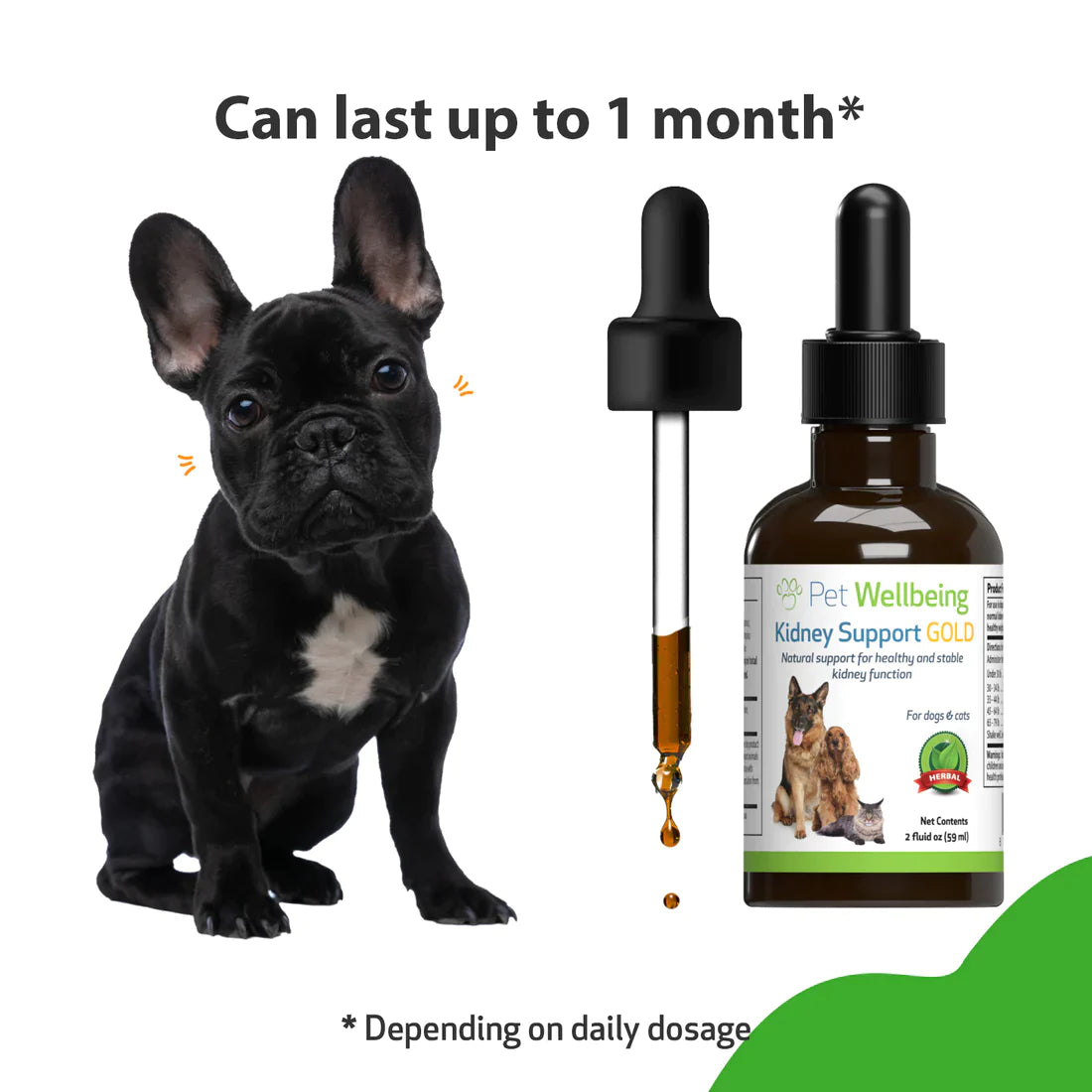 Pet Wellbeing - Kidney Support Gold - for Cats & Dogs Kidney Function