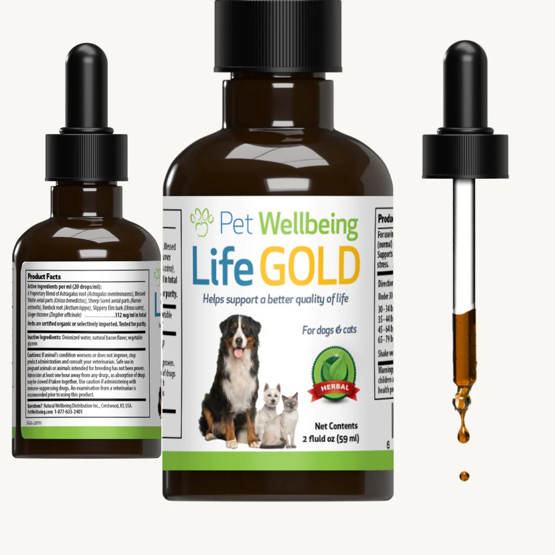 Pet Wellbeing - Life Gold - Trusted Care for Dog Cancer