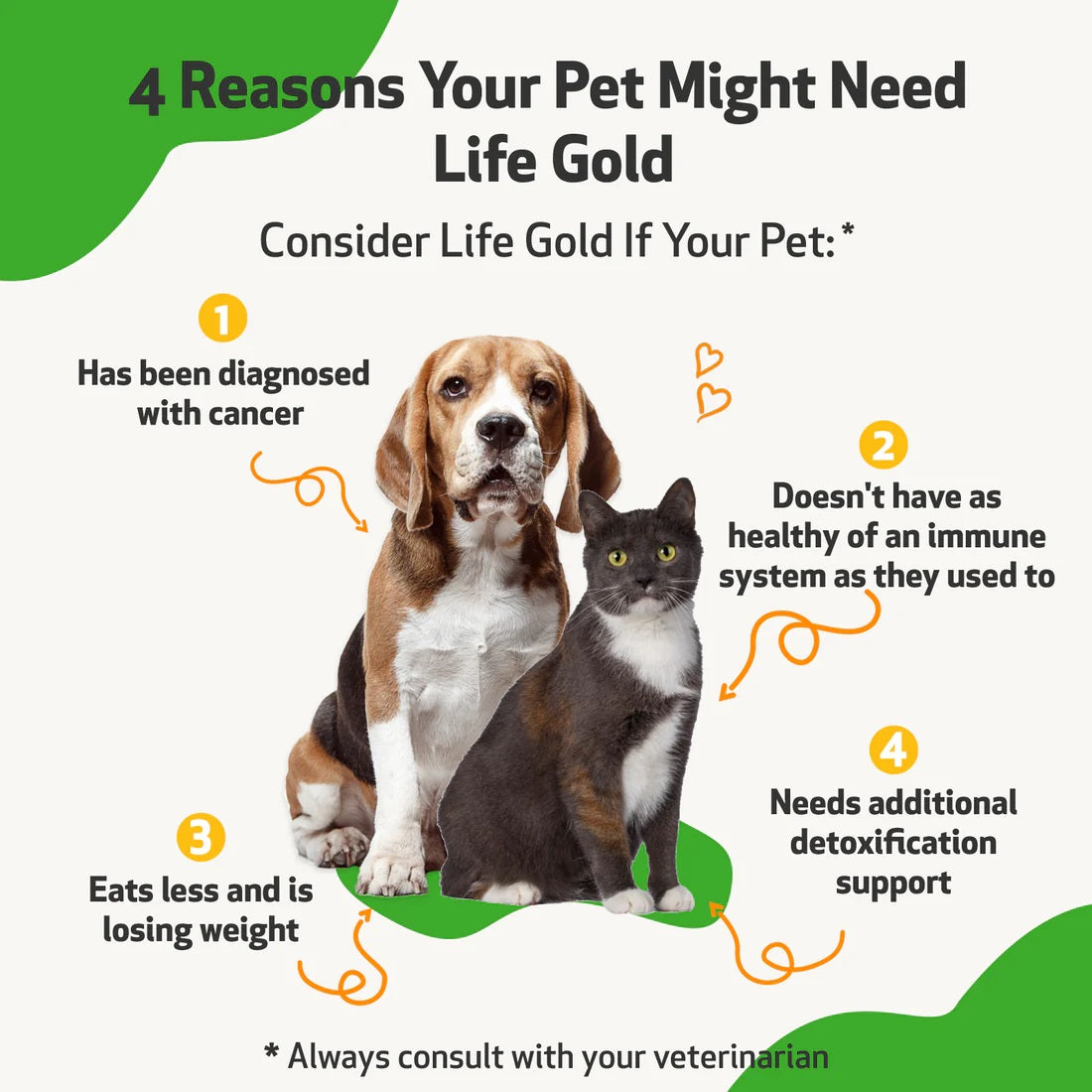 Pet Wellbeing - Life Gold - Trusted Care for Dog Cancer