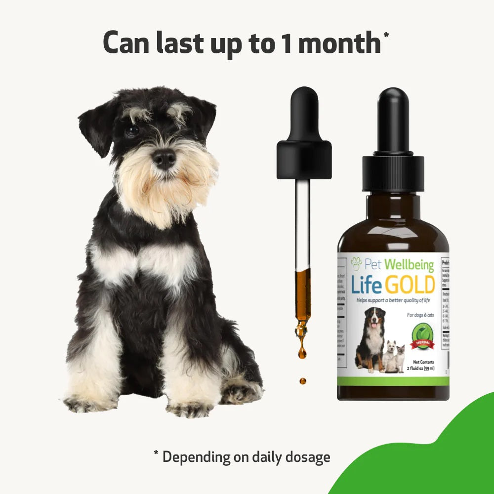 Pet Wellbeing - Life Gold - Trusted Care for Dog Cancer