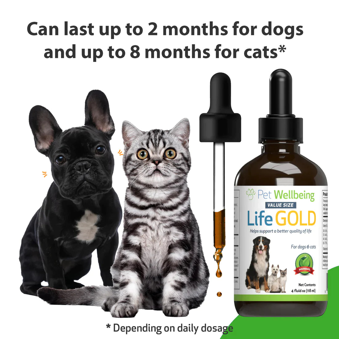 Pet Wellbeing - Life Gold - Trusted Care for Dog Cancer