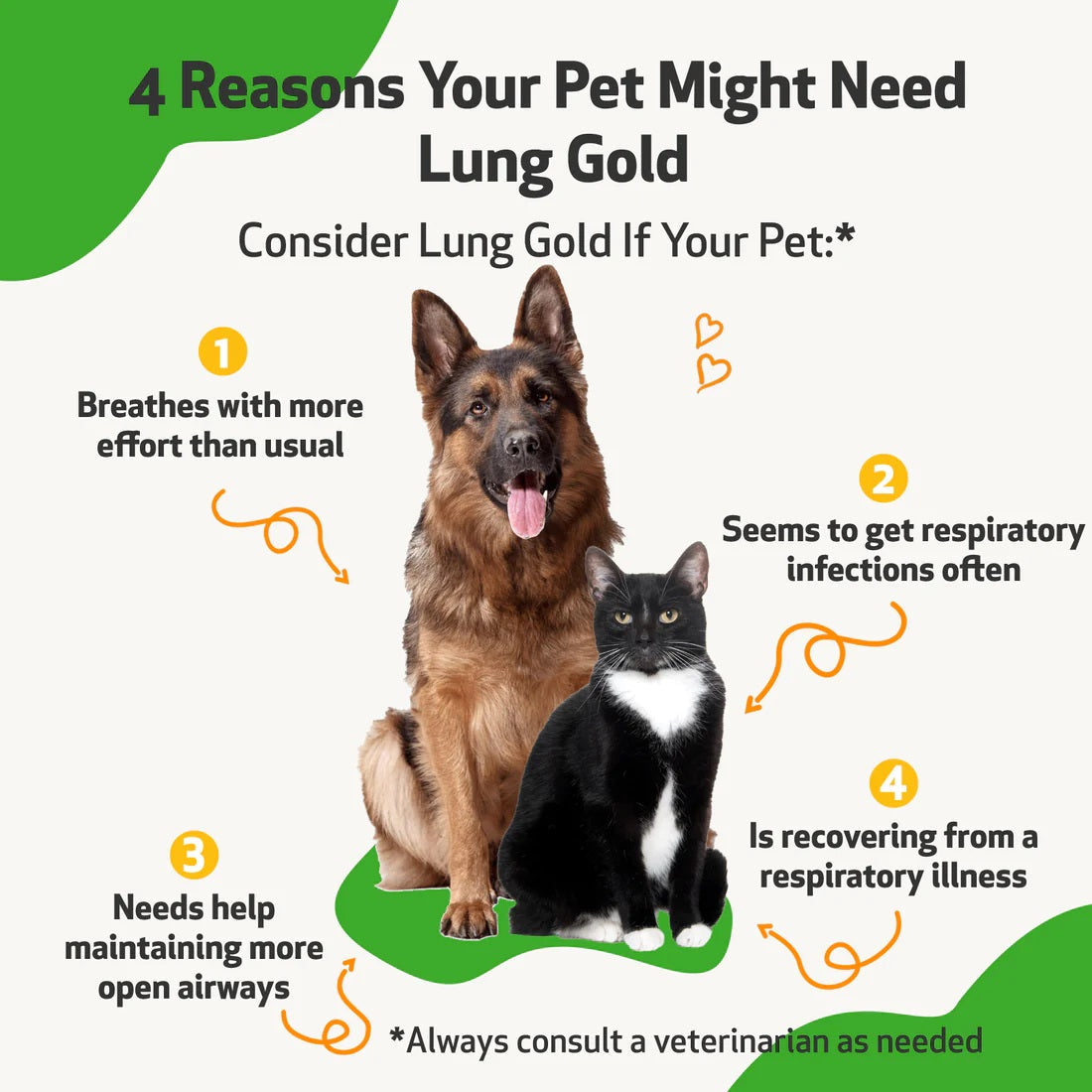 Pet Wellbeing - Lung Gold - for Cat & Dog Respiratory Stability