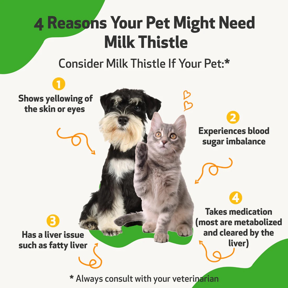 Pet Wellbeing - Milk Thistle - for Healthy Liver Function in Cats & Dogs