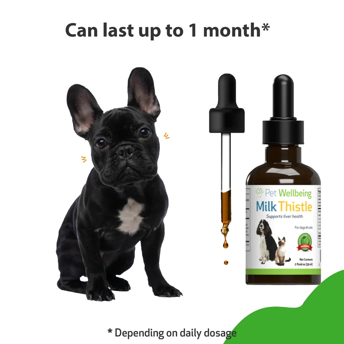 Pet Wellbeing - Milk Thistle - for Healthy Liver Function in Cats & Dogs