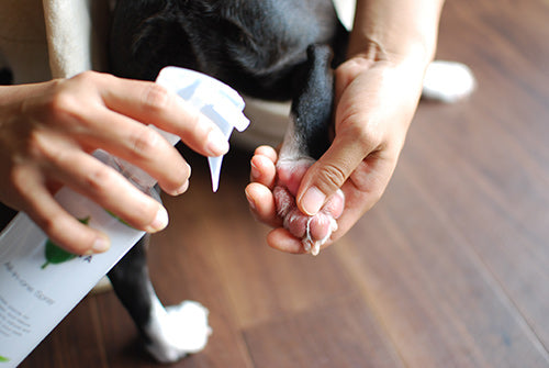 Wafona All-in-One Spray - cleans, moisturizes and sterilize with the power of 108 types of natural plant extracts and pure ionized water