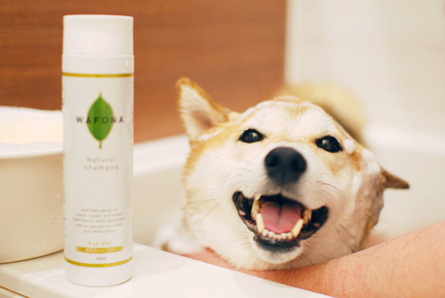 Wafona Natural Shampoo - 250ml