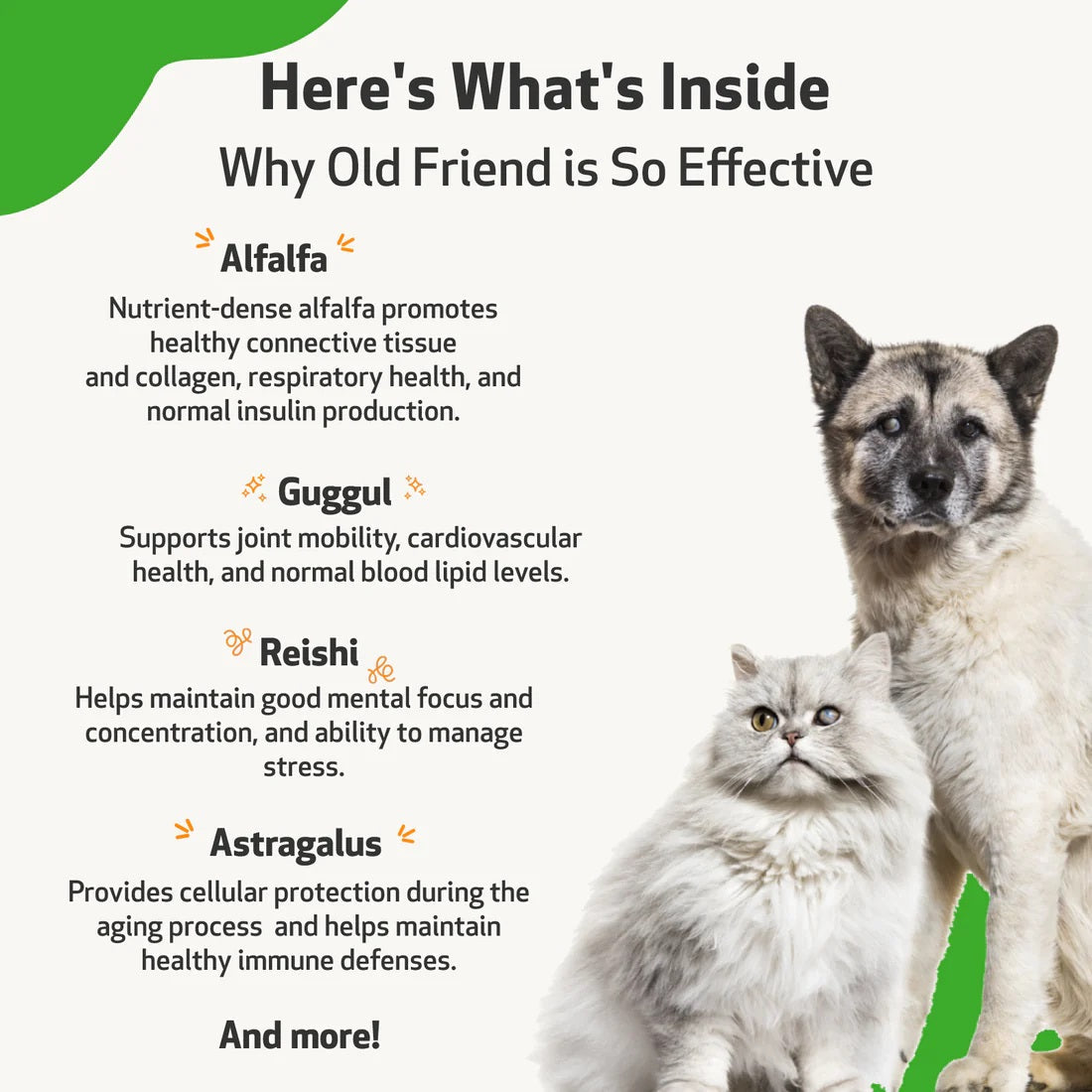 Pet Wellbeing - Old Friend - for Senior Dogs