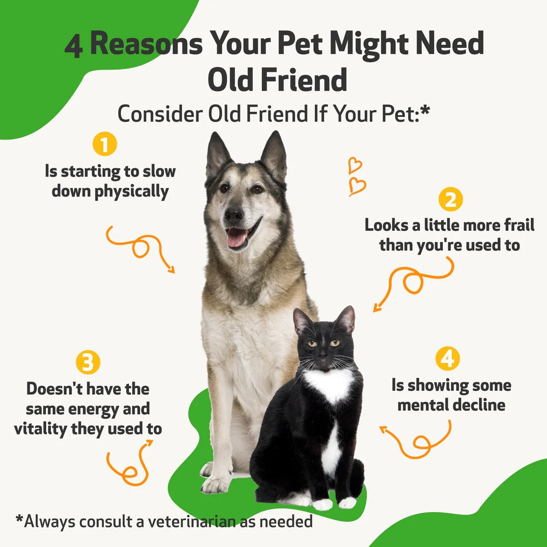 Pet Wellbeing - Old Friend - for Senior Dogs