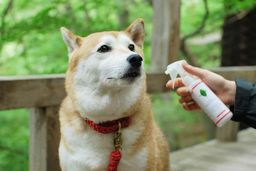 Wafona Outdoor Body Care (120ml Spray / 300ml Refill)