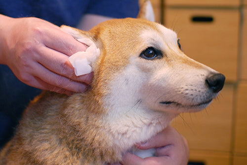 Wafona Natural Shampoo - 250ml