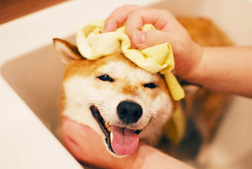 Wafona Natural Shampoo - 250ml