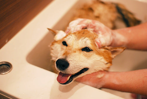 Wafona Natural Shampoo - 250ml