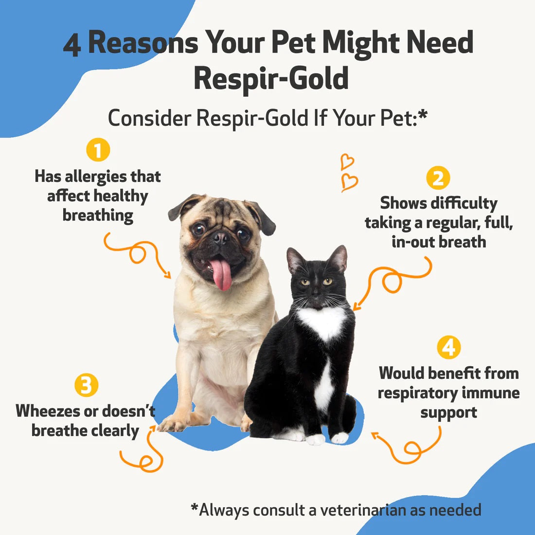 Pet Wellbeing - Respir Gold - for Easy Breathing in Cats & Dogs