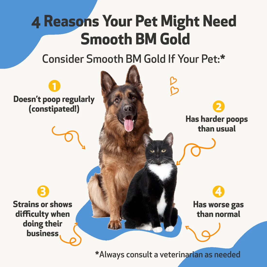 Pet Wellbeing - Smooth BM Gold - for Cat & Dog Constipation