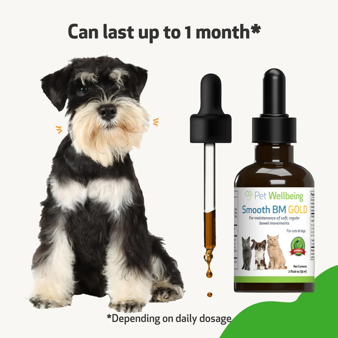 Pet Wellbeing - Smooth BM Gold - for Cat & Dog Constipation
