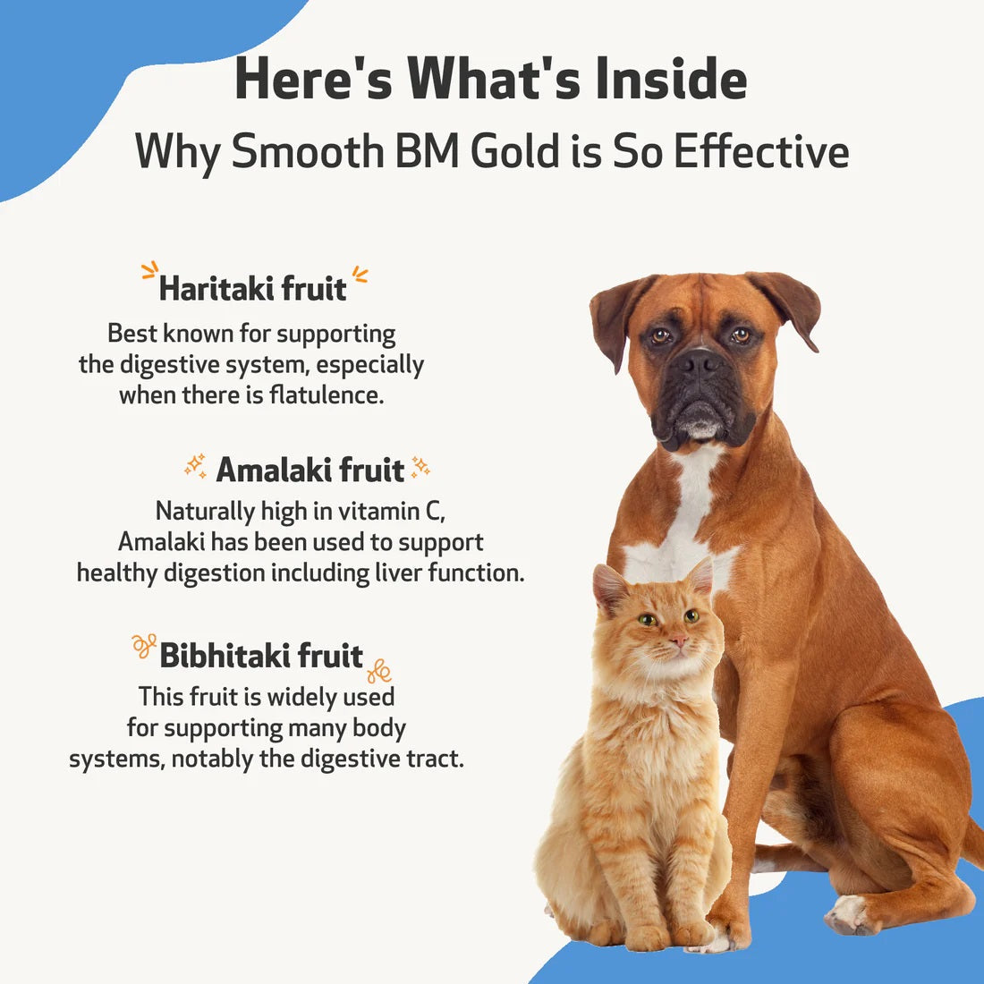 Pet Wellbeing - Smooth BM Gold - for Cat & Dog Constipation