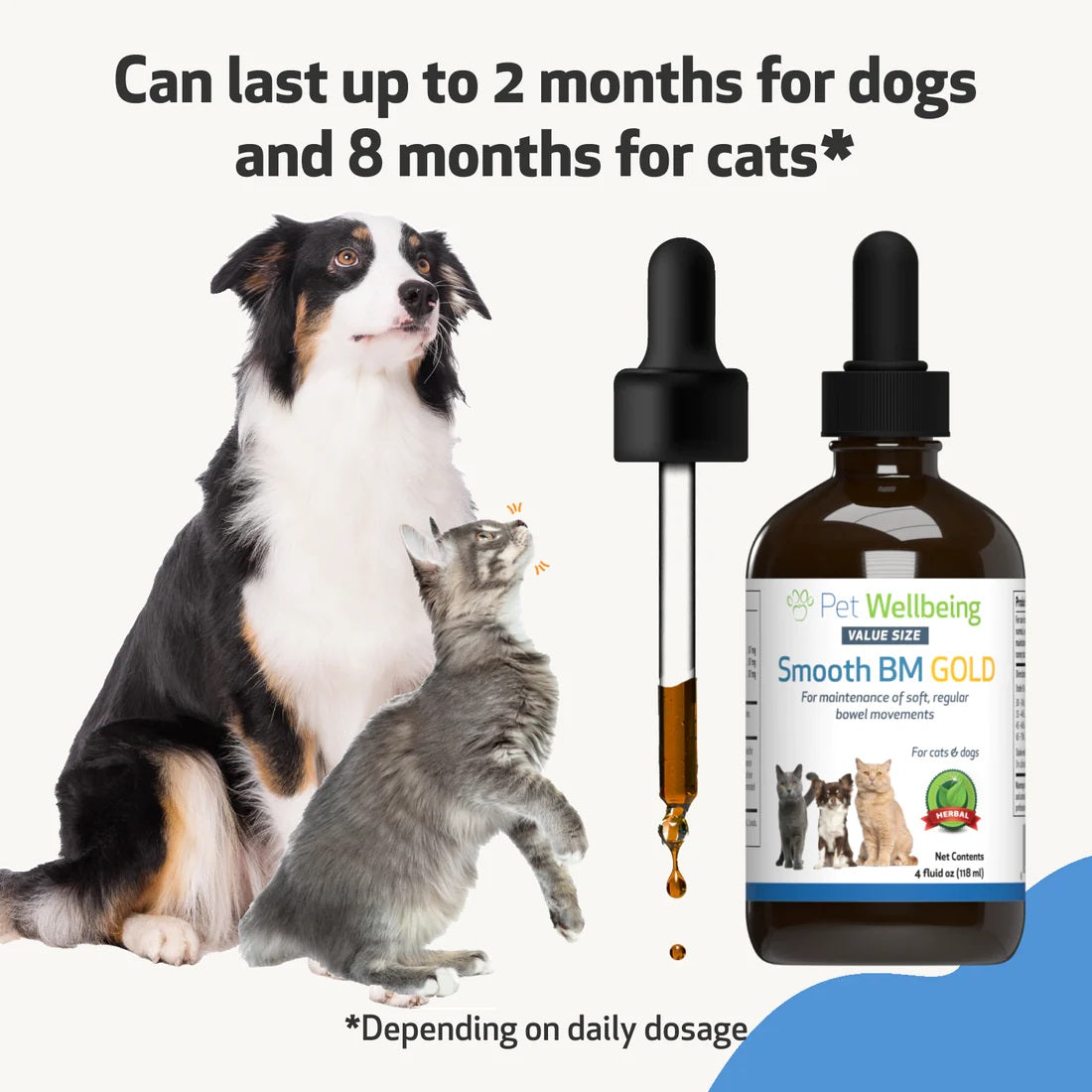 Pet Wellbeing - Smooth BM Gold - for Cat & Dog Constipation