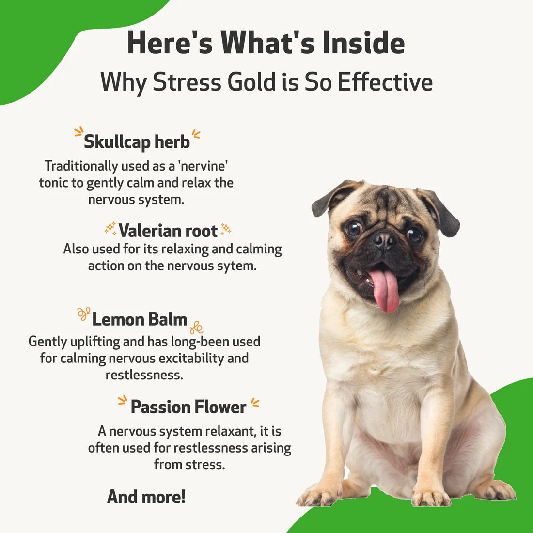 Pet Wellbeing - Stress Gold - for High Stress Situations in Cats & Dogs (2 oz / 59ml)